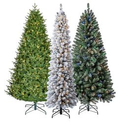 Christmas Trees & Light Sets