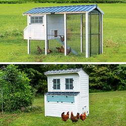 Select Producer's Pride Chicken Coops