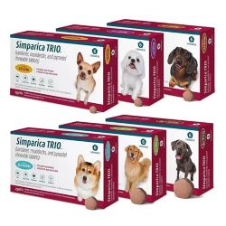 Pet Prescriptions