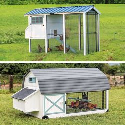 Chicken Coops and Pens