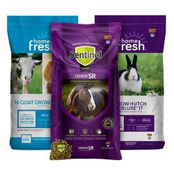 Kent Blue Seal Equine, Livestock and Poultry Feed