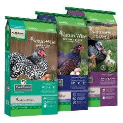 Nutrena Poultry Feed