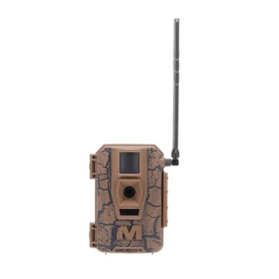 Trail Cameras & Accessories