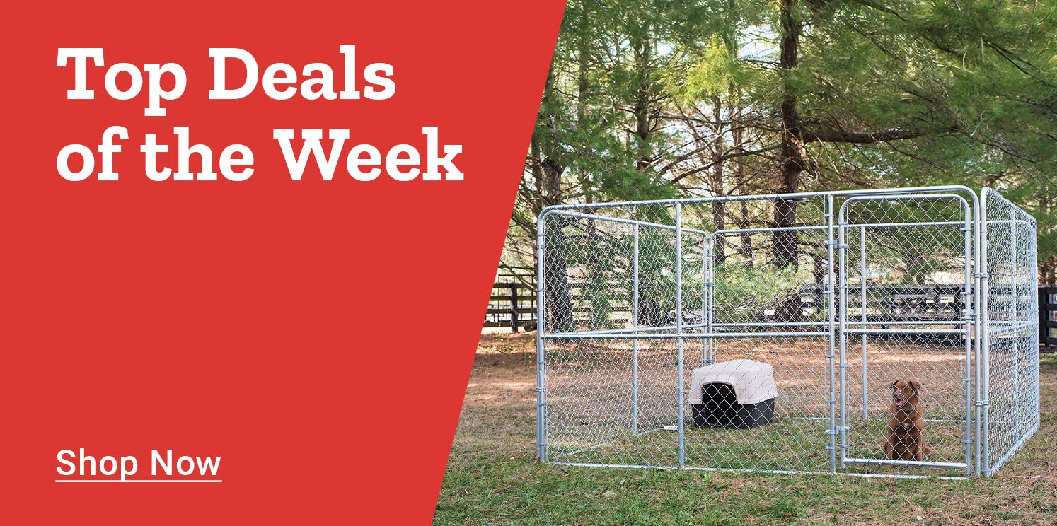 Top Deals of the Week, Shop Now