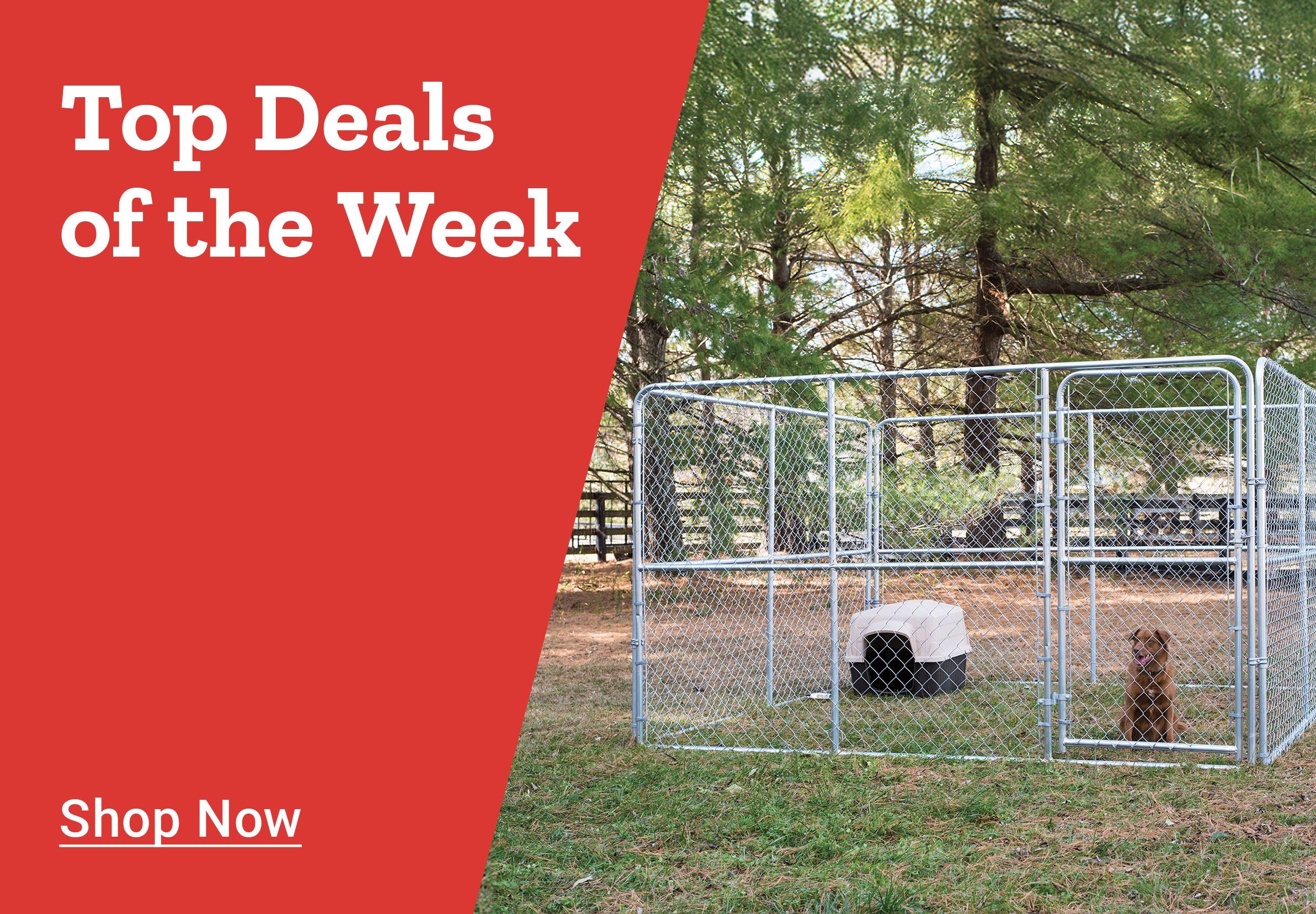 Top Deals of the Week, Shop Now