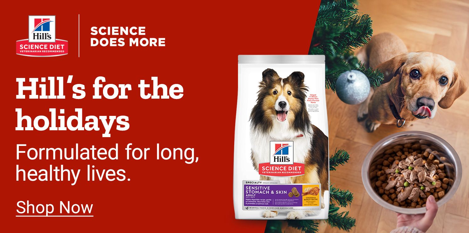 Holiday-themed promotional banner for Hill’s Science Diet pet food. The left side has a red background with the Hill’s Science Diet logo and text reading Hill’s for the holidays, formulated for long, healthy lives, followed by a Shop Now link. The right side shows a festive scene with a dachshund looking up at a bowl of food beside a Christmas tree and a bag of Hill’s Science Diet Sensitive Stomach & Skin dog food.