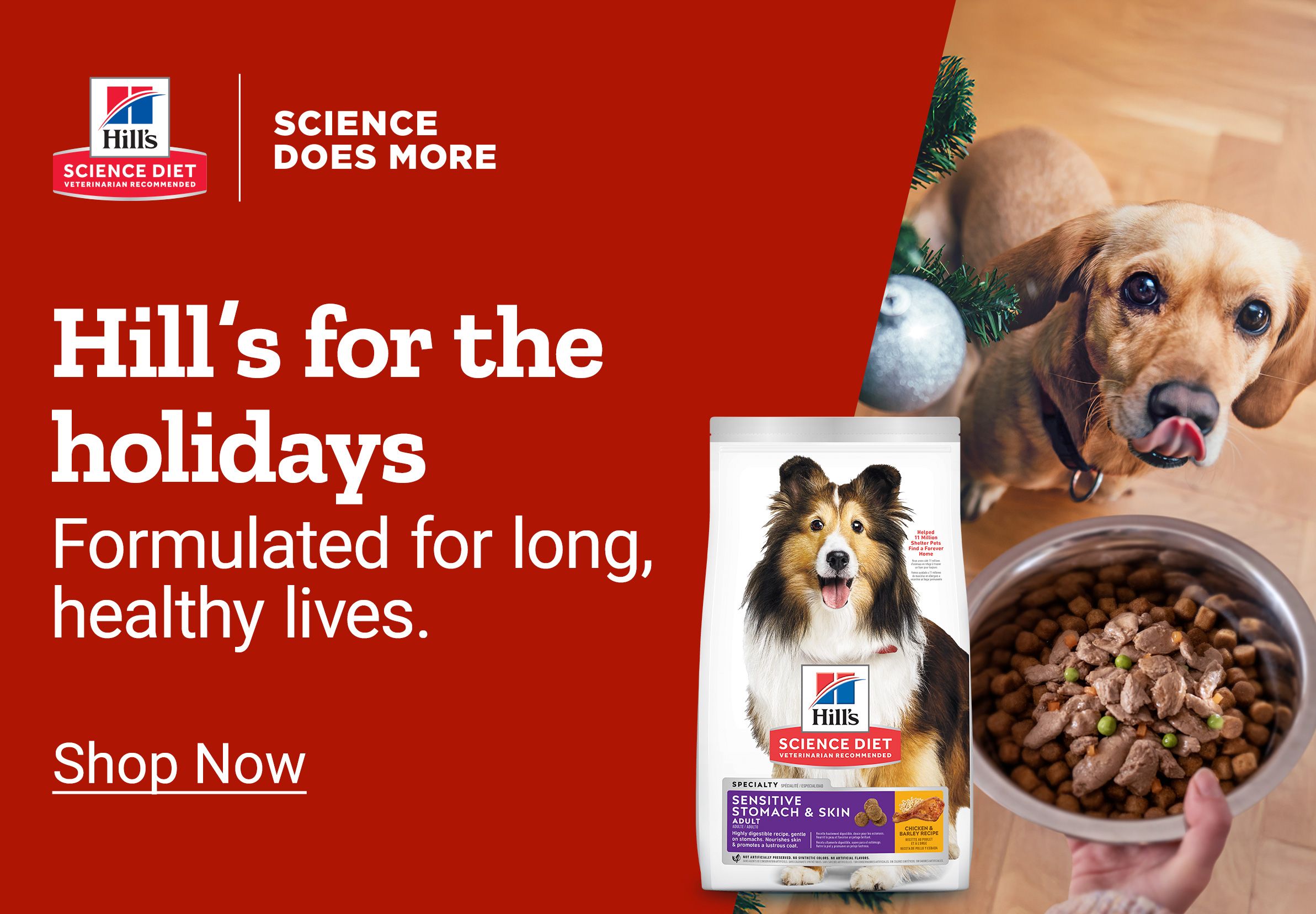 Holiday-themed promotional banner for Hill’s Science Diet pet food. The left side has a red background with the Hill’s Science Diet logo and text reading Hill’s for the holidays, formulated for long, healthy lives, followed by a Shop Now link. The right side shows a festive scene with a dachshund looking up at a bowl of food beside a Christmas tree and a bag of Hill’s Science Diet Sensitive Stomach & Skin dog food.