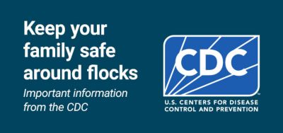 Keep your family safe around flocks - Important information from the CDC.