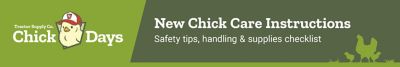New Chick Care Instructions: safety tips, handling, and supplies checklist.