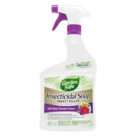 Garden Safe Insecticidal Soap Bug Killer Lawn & Garden Insect Control