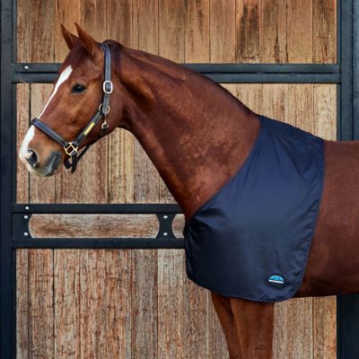 Image showing  Satin Shoulder Guard