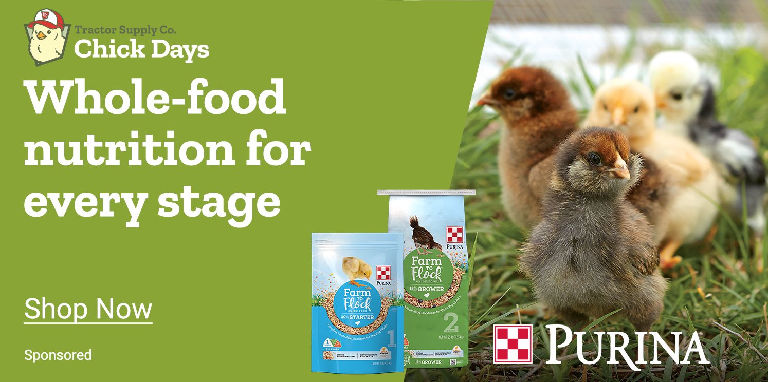 Whole-food nutrition for every stage. Shop Now.