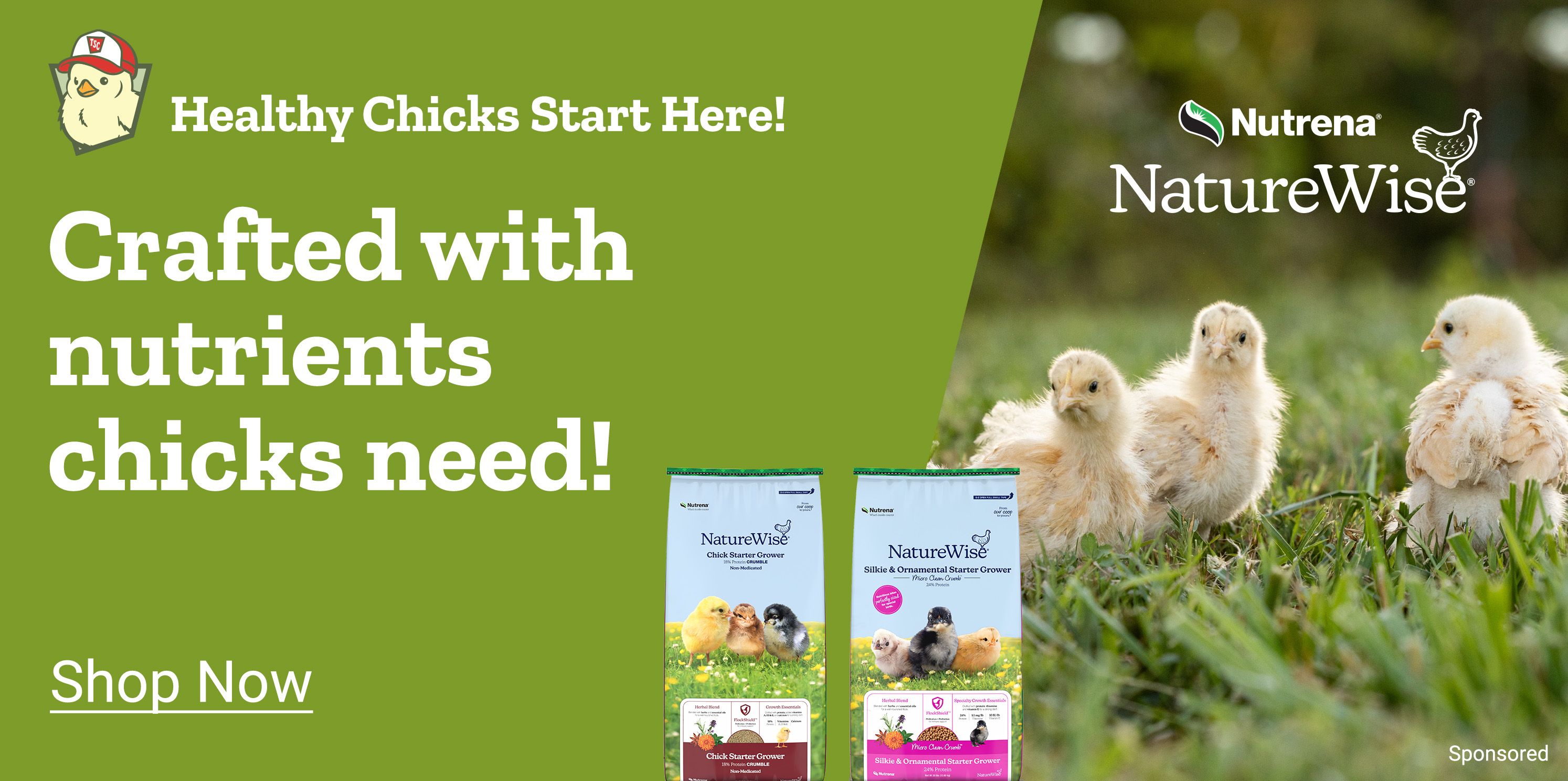 New and Exclusive. TSC Tractor Supply Co. New finds for your flock. More coops and even playgrounds. Shop Now. A promotional banner featuring a large chicken coop, hanging poultry accessories, and a wooden chicken playground structure displayed against a beige background.