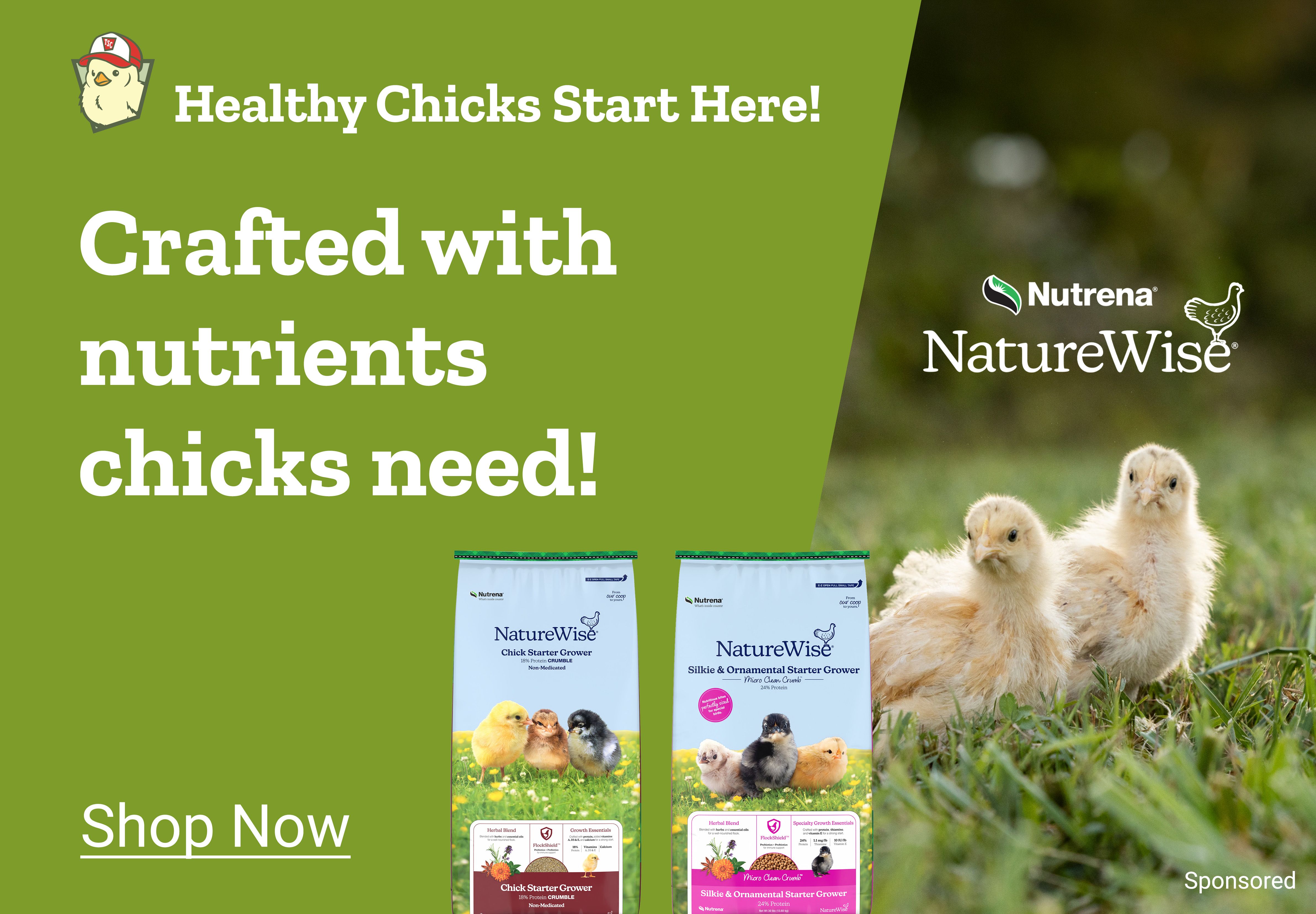 New and Exclusive. TSC Tractor Supply Co. New finds for your flock. More coops and even playgrounds. Shop Now. A promotional banner featuring a large chicken coop, hanging poultry accessories, and a wooden chicken playground structure displayed against a beige background.