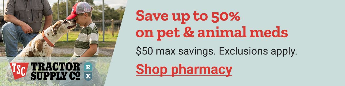 A boy outside with a dog. A man kneels on one knee in the background.