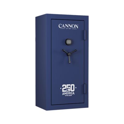 image of a Patriotic Safes