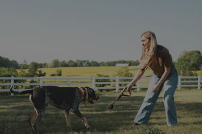 Banner reading Pet essentials for their best summer, with a Shop now button.