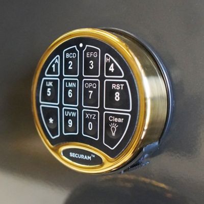 Image showing  40 Long Gun and 6 Handgun 20.49 cu. ft. Electronic/Key Lock STS Gun Safe, Metallic