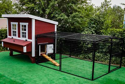 OverEZ Regular 8 ft. Chicken Run, 10 Chicken Capacity, Large Steel 7 ft. x 8 ft. x 4 ft. Outdoor Enclosure Kennel for Poultry