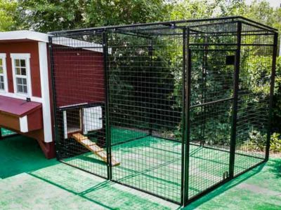 Image showing  Walk-in 8 ft. Chicken Run, 15 Chicken Capacity, 6 ft. 6 in. x 7 ft. 6 in. x 6 ft. 3 in. Outdoor Chicken Pen