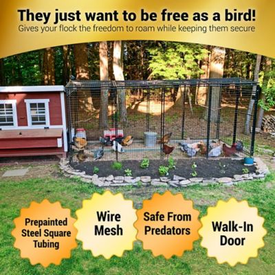 Image showing  Walk-in 8 ft. Chicken Run, 15 Chicken Capacity, 6 ft. 6 in. x 7 ft. 6 in. x 6 ft. 3 in. Outdoor Chicken Pen