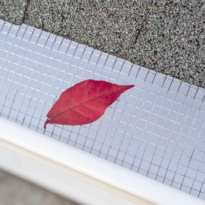 Image showing  5 ft. x 36 in. Galvanized Hardware Cloth with 1/4 in. Openings