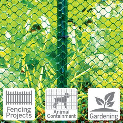 Image showing  25 ft. x 36 in. Plastic Chicken Wire with 3/4 in. Openings, Green