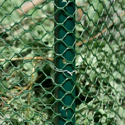 Image showing 5 th Garden Craft 25 ft. x 36 in. Plastic Chicken Wire with 3/4 in. Openings, Green