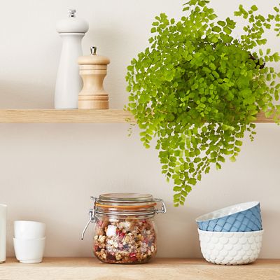 Image showing  500 mL French Glass Super Canning Jars with Rounded Body, Airtight Rubber Seal and Glass Lids, 4 ct.