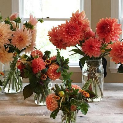 Image showing  1L Wide Mouth French Glass Screw Top Storage Jars with 2 pc. Gold Lids, 4 ct.