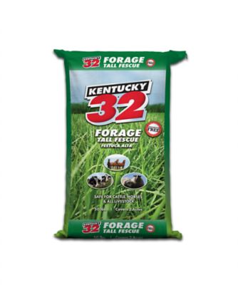 DLF 50 lb. K-32 Forage Tall Fescue, Endophyte Free