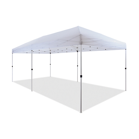 Z-Shade 20 ft. x 10 ft. Everest Instant Canopy
