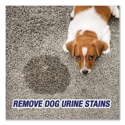 Image showing  32 oz. Citrus Scented Urine Destroyer Spray