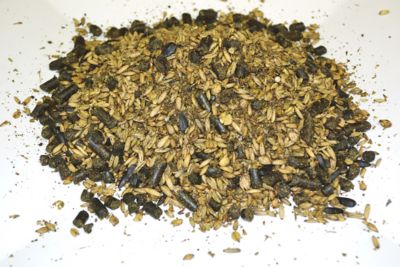 Image showing  Freestyle Performance Textured Horse Feed, Trail Mix, 40 lb. Bag