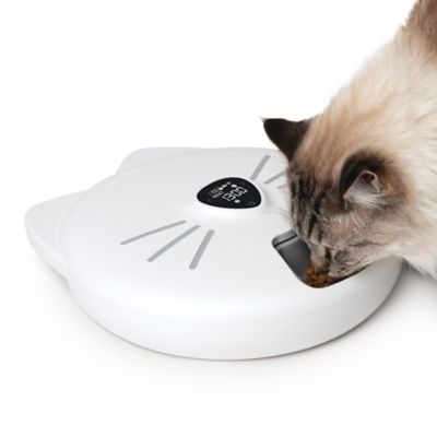 Image showing  Pixi Smart 6 Meal Feeder