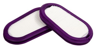 GVS Replacement Filters Nuisance Odor, SPR450-1