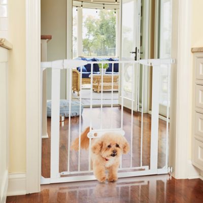 Image showing  Wide Easypass Walk-Through Steel Pet Gate