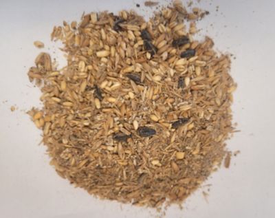 Image showing  Achiever-Foal Horse Feed, 40 lb. Bag