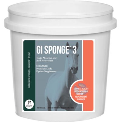 Daily Dose Equine Gi Sponge 3 Bouillon Cube for Horses, 103.5 oz.