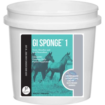 Daily Dose Equine Gi Sponge 1 Bouillon Cube for Horses, 108 oz.