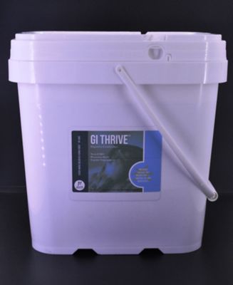 Daily Dose Equine GI Thrive Digestive Supplement for Horses, 256 oz.
