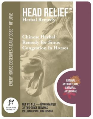 Image showing  Head Relief