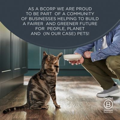 Image showing  Adult Grain-Free Tuna Fillet with Crab in Broth Wet Shreds Cat Food, 2.47 oz.