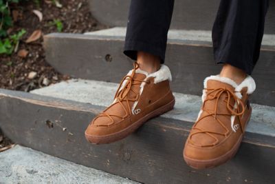 Image showing  Unisex Jackal Slippers