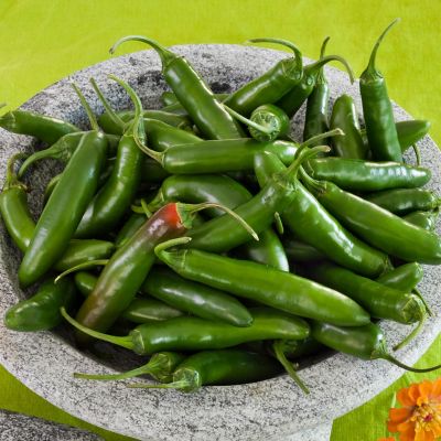 Image showing  Serrano Pepper, 2.5 gal., Live Plant