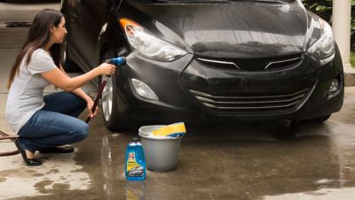 Image showing  48 oz. Spot-Free Car Wash