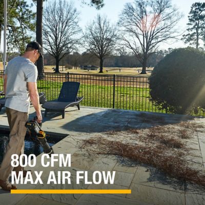 Image showing  170 MPH/800 CFM 60V Cordless Handheld Leaf Blower, Battery and Charger Not Included