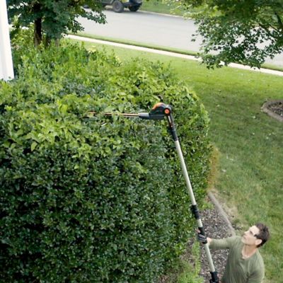 Image showing 7 th WORX 20 in. 20V Cordless Hedge Trimmer, Battery and Charger Not Included