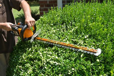 Image showing  24 in. 40V Cordless Hedge Trimmer, Battery and Charger Not Included