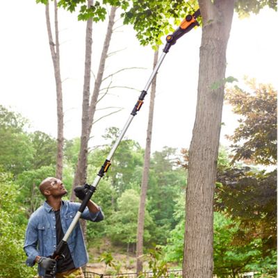 Image showing  8 in. 20V Cordless Pole Saw, Battery and Charger Not Included